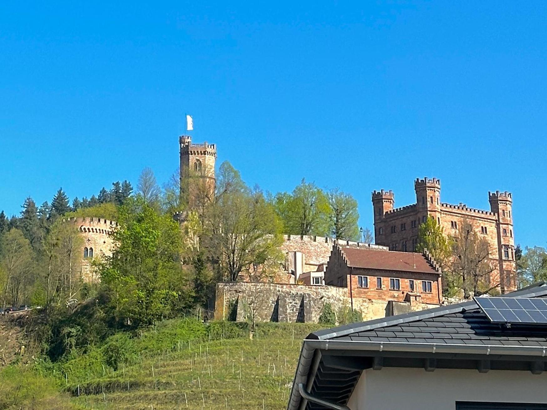 Ferienwohnung Mit Schlossblick Bei Offenburg Ortenberg  Exterior foto